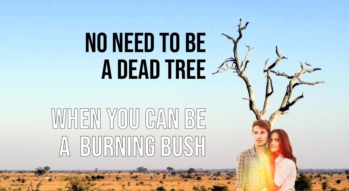 BURNINGBUSH44