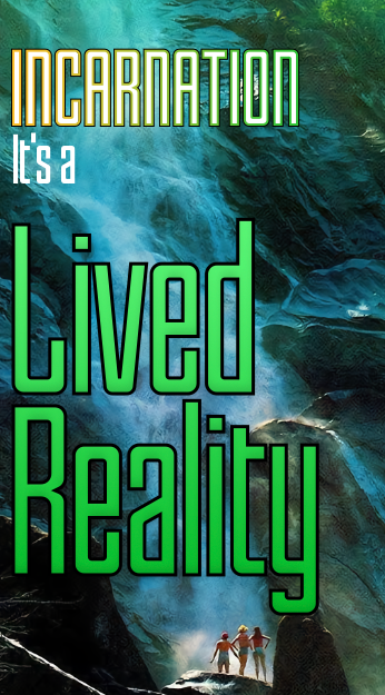 LIVEDREALITY34