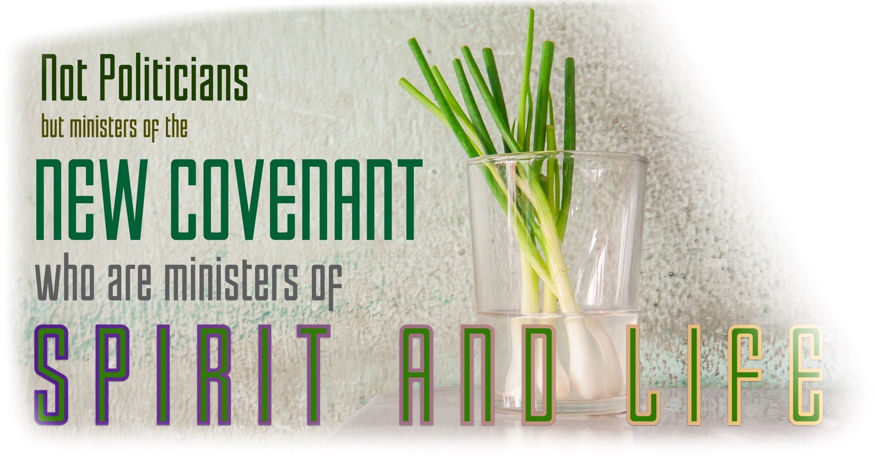 NOTPOLITICIANS33 copy