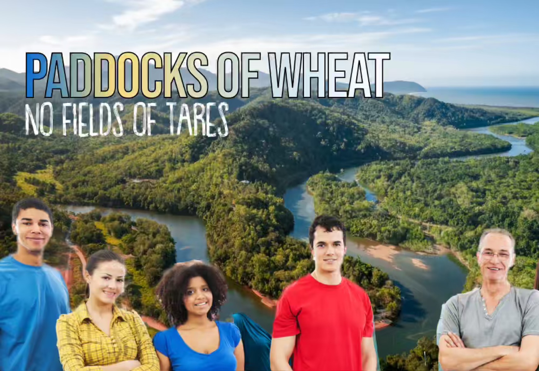 paddocksofwheat446